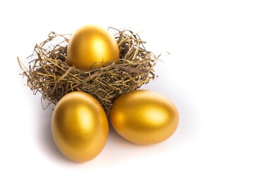 nest with golden eggs